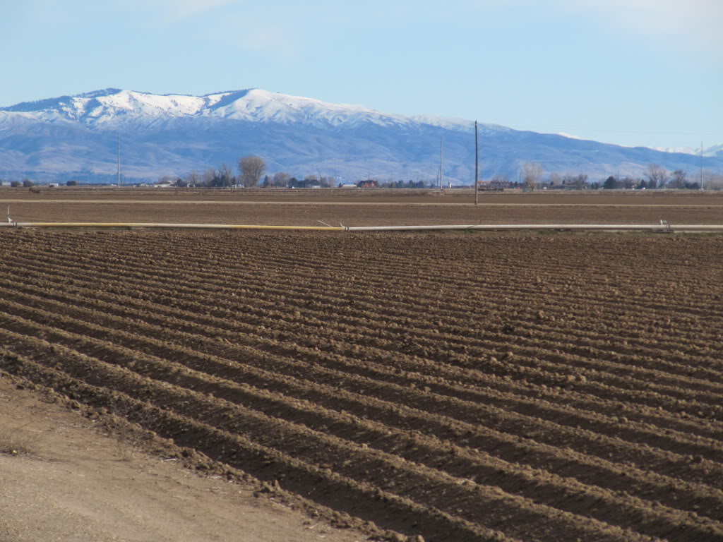 Boise is surrounded by farms and ranches; backed by mountains.